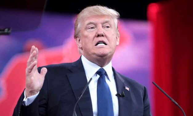 Trump’s Personal Fortune Surges as Critics Point to Historic Monetization of Presidency