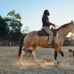 Breaking the Cycle: My Journey to Freedom from Nicotine Addiction 