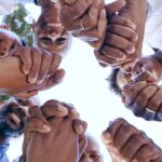 The DEI Deception: White Women Benefit, Black Americans Blamed