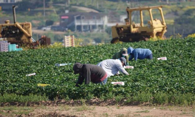 With Immigration Reform on the Table, Advocates Put Human Face on Calif’s Migrant Farmworkers